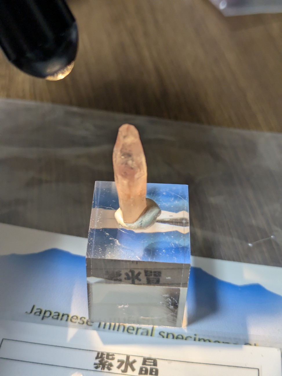 f:id:raku-aqua:20260906203241j:image