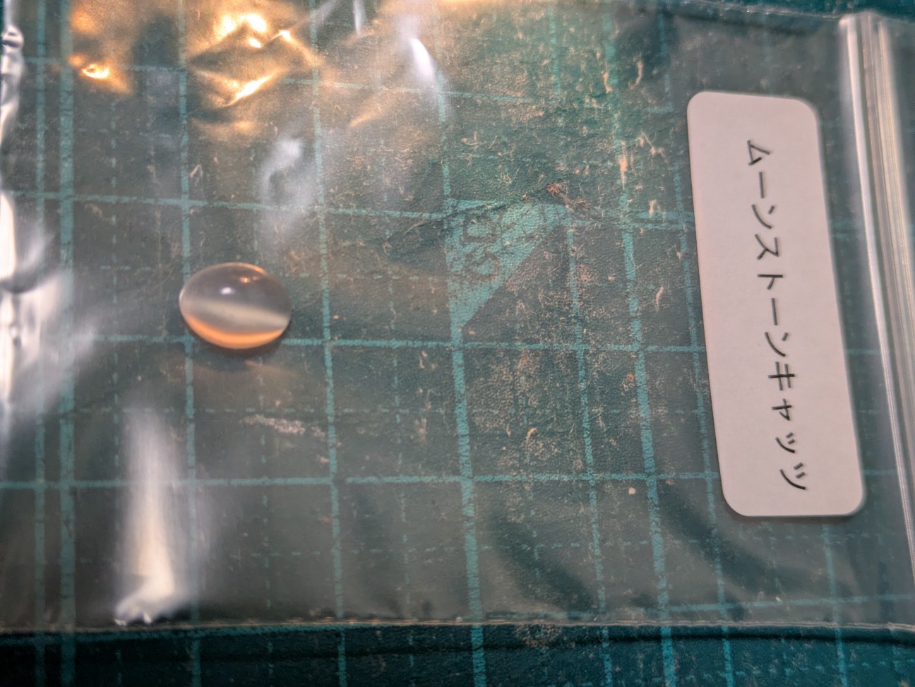 f:id:raku-aqua:20260915194850j:image