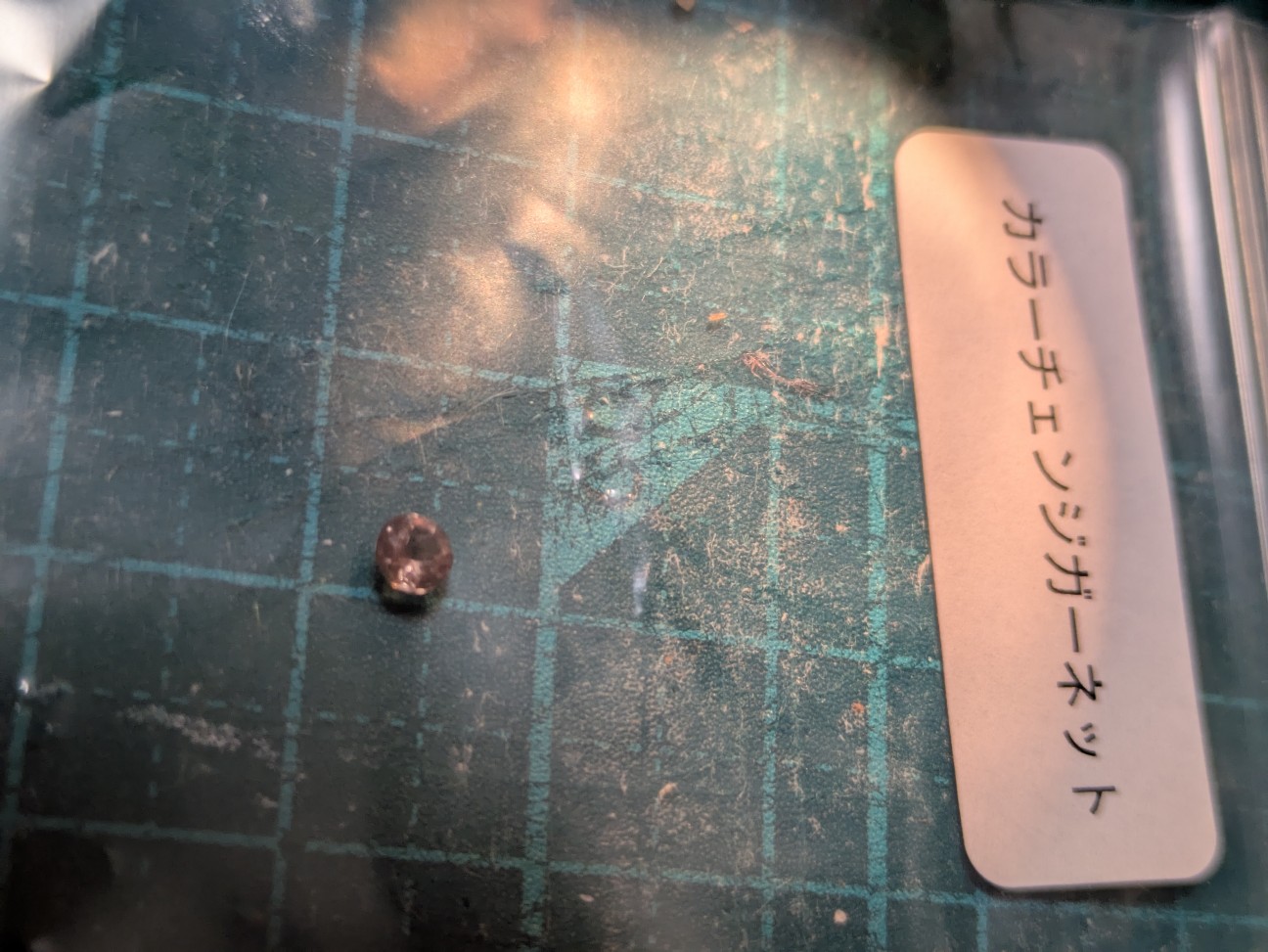 f:id:raku-aqua:20260915194854j:image