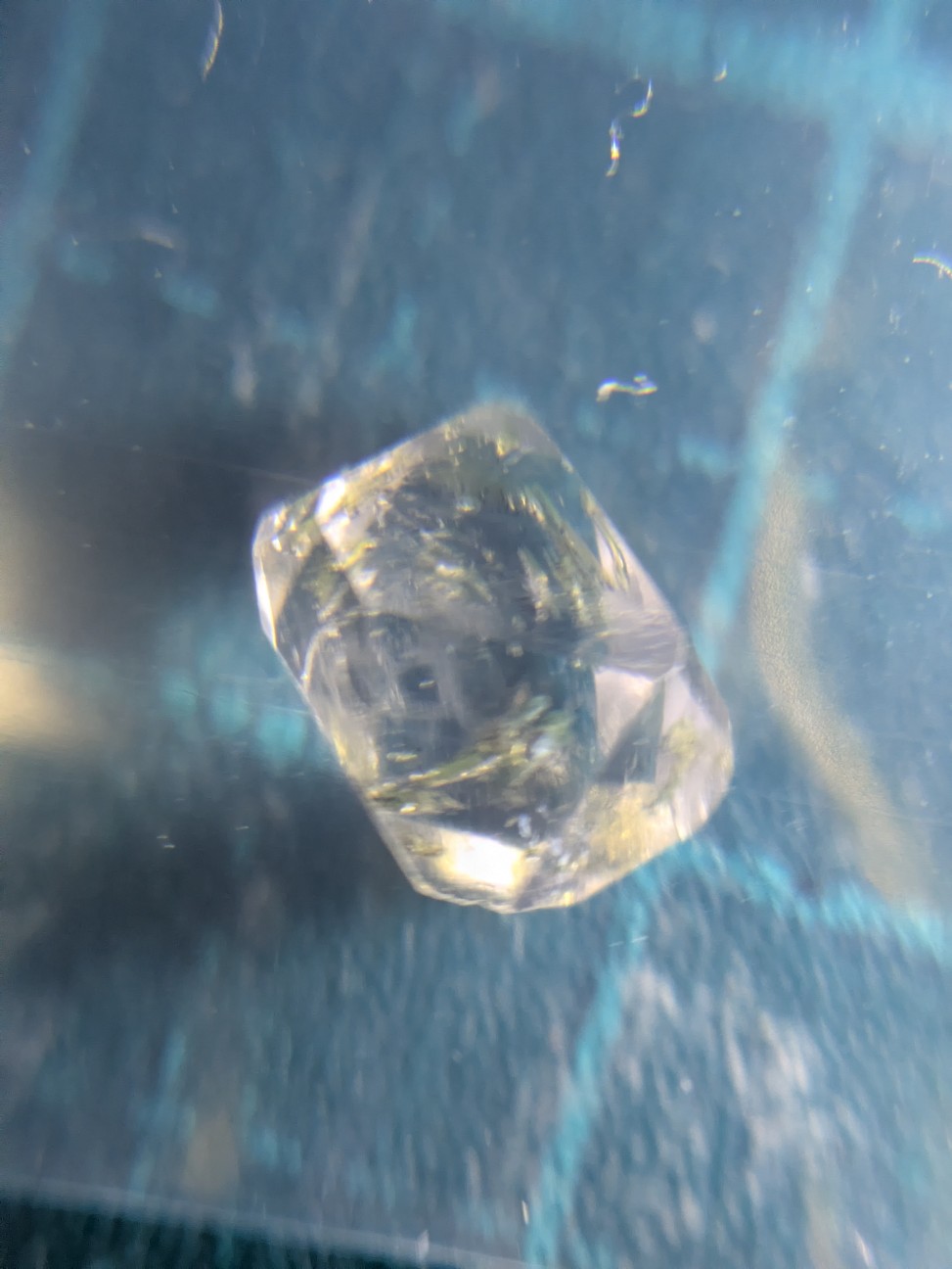 f:id:raku-aqua:20260915201911j:image