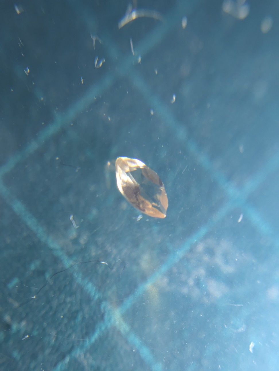 f:id:raku-aqua:20260915202055j:image
