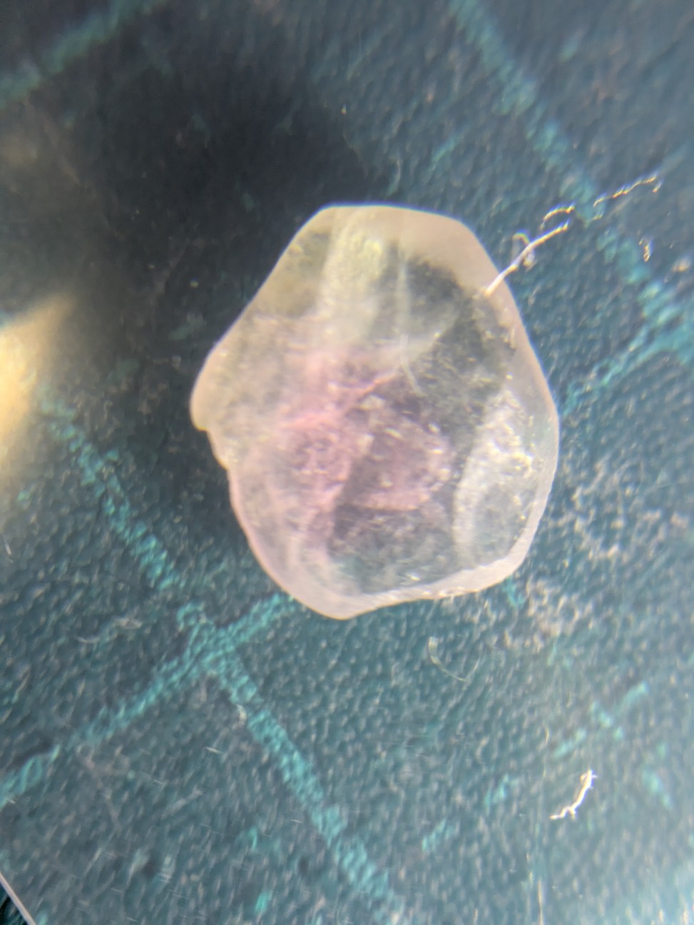 f:id:raku-aqua:20260915202249j:image