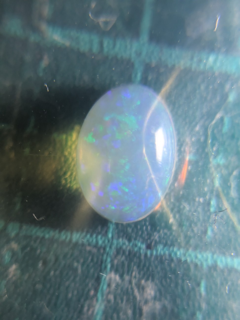 f:id:raku-aqua:20260915202456j:image