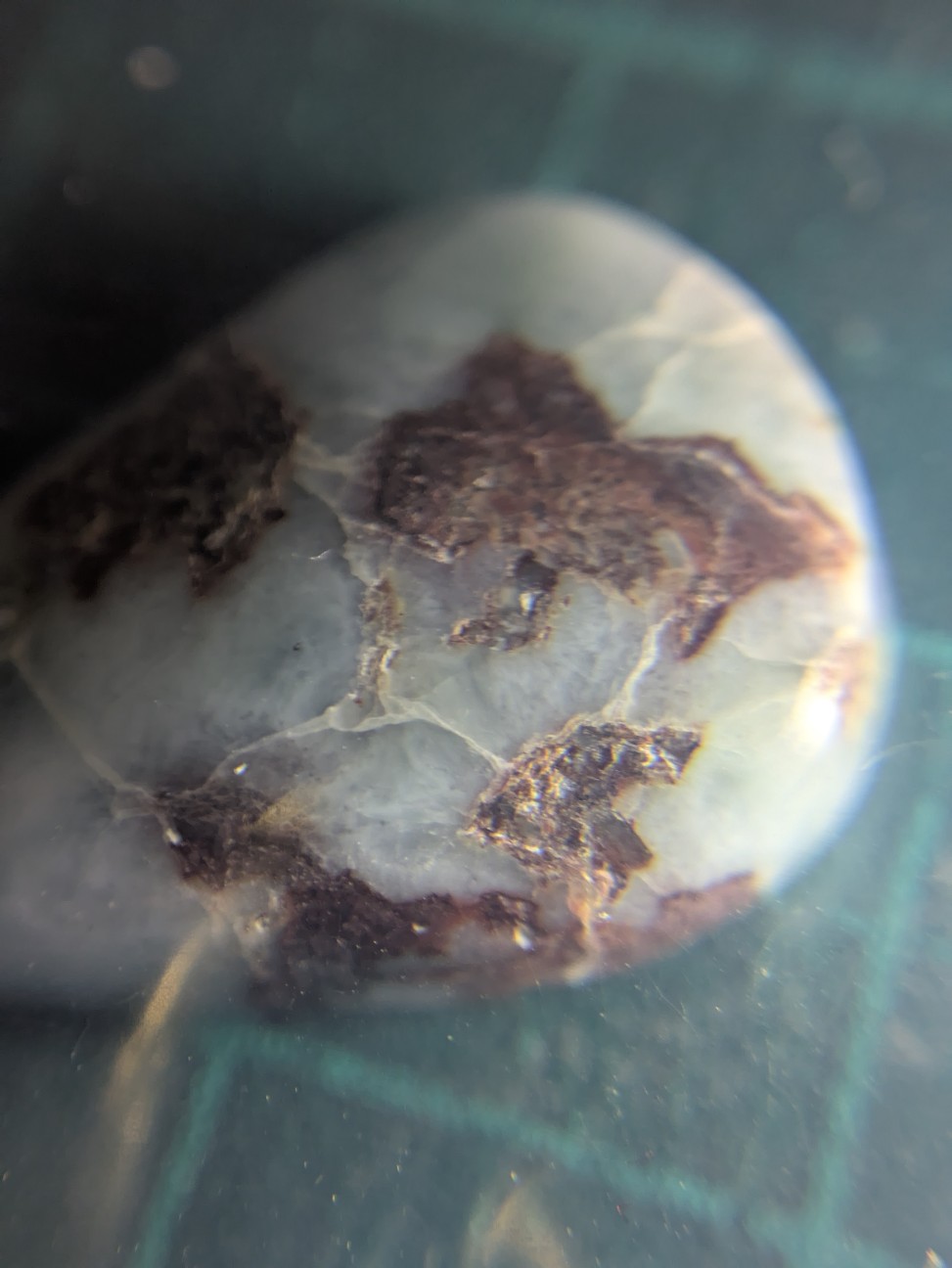 f:id:raku-aqua:20260915202619j:image