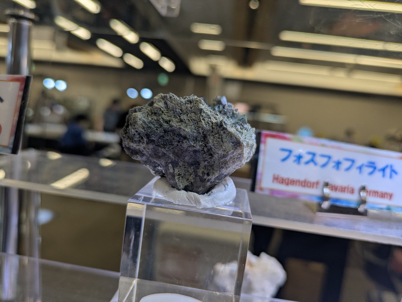 f:id:raku-aqua:20260921235048j:image f:id:raku-aqua:20260921235048j:image