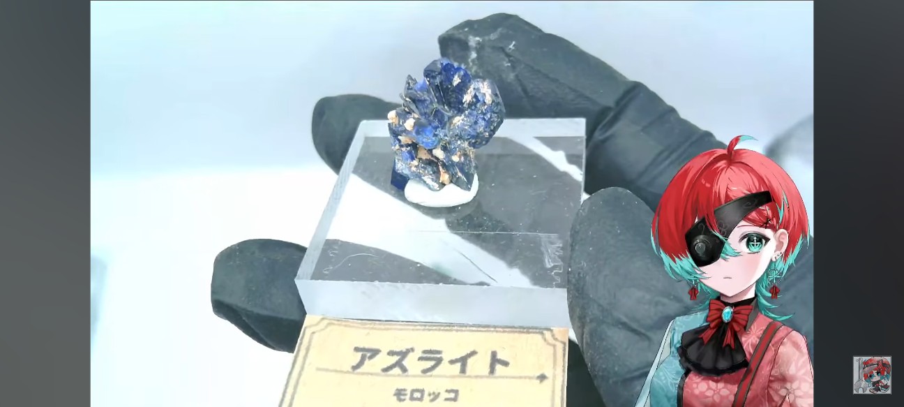 f:id:raku-aqua:20260922072738j:image f:id:raku-aqua:20260922072738j:image