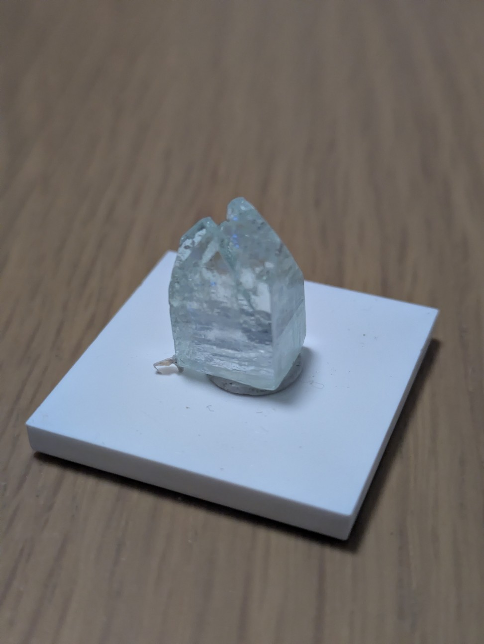 f:id:raku-aqua:20261014001035j:image