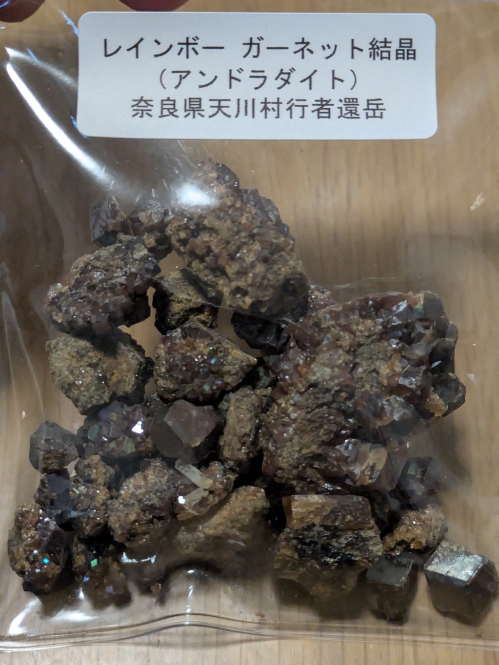 f:id:raku-aqua:20261014001039j:image