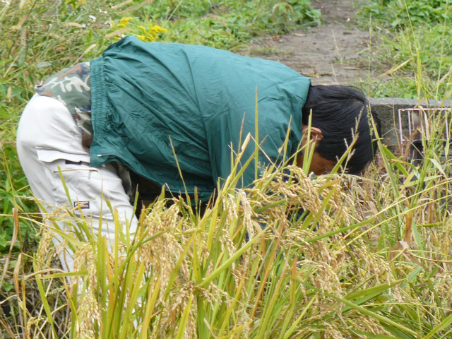 f:id:raku-npo:20121028182353j:image