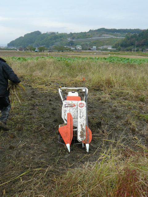 f:id:raku-npo:20121028182821j:image