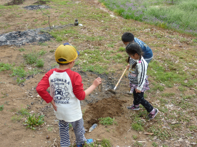 f:id:raku-npo:20130401113739j:image