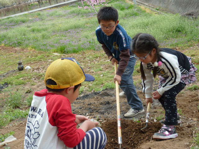 f:id:raku-npo:20130401113740j:image