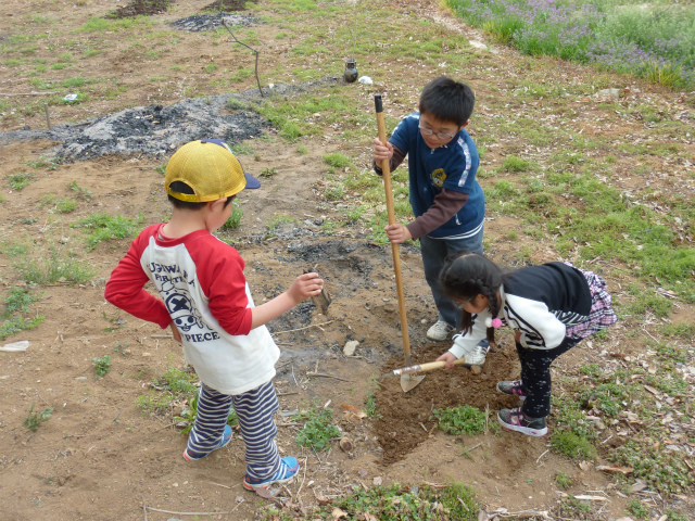 f:id:raku-npo:20130401113742j:image