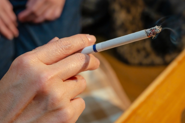 f:id:raku_inkyo:20220204104804j:plain