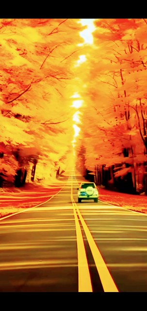 f:id:rakucom:20231027173242j:image