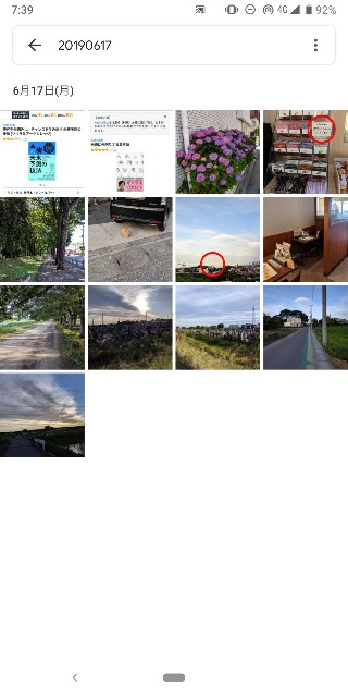 f:id:rakuda95:20190623075750j:image f:id:rakuda95:20190623075750j:image