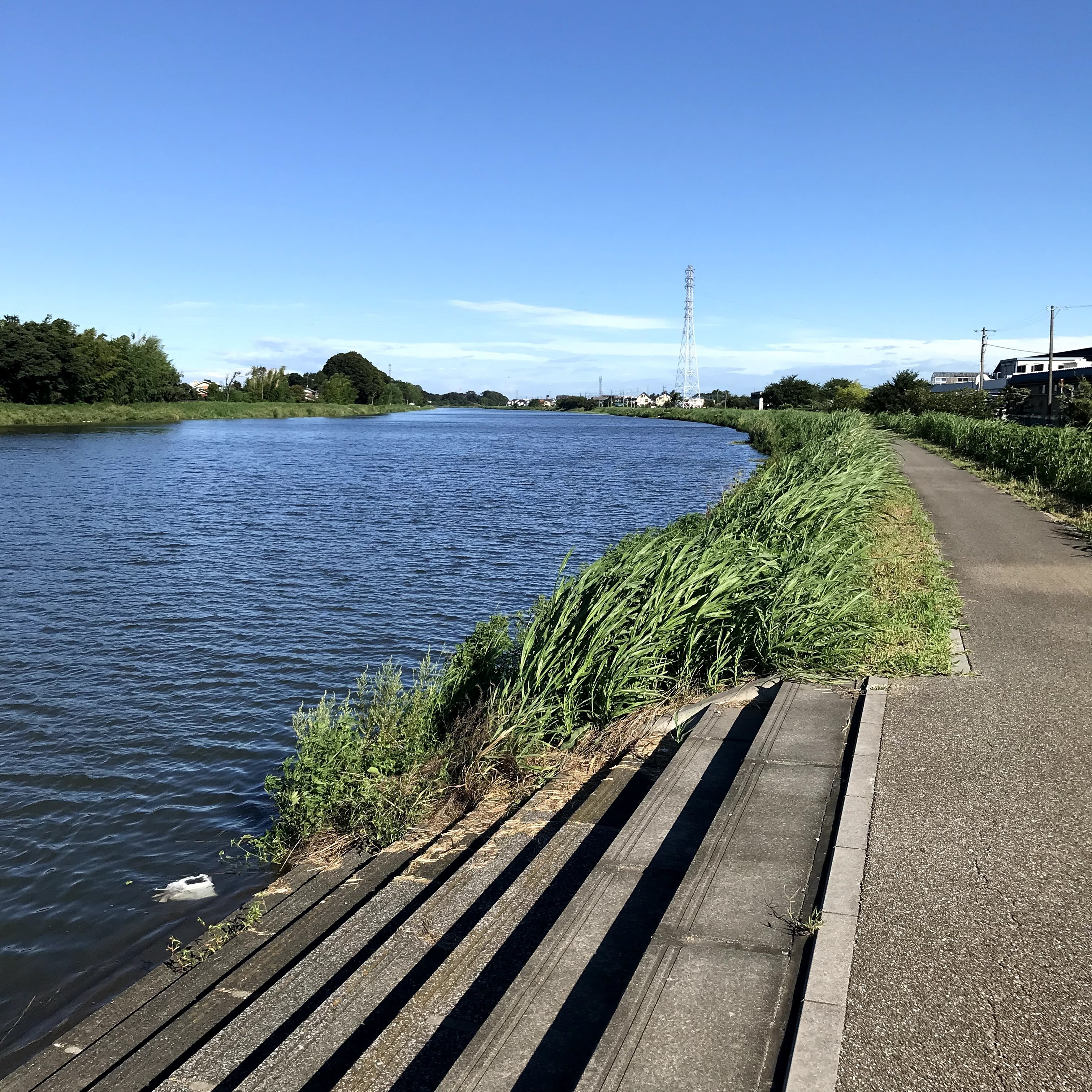 コロナ下で換気に気をつかうようになったら空気の悪いことに耐えられなくなってきた 猫のように丸くなって暮らしたい コロナ下で換気に気をつかうようになったら空気の悪いことに耐えられなくなってきた 猫のように丸くなって暮らしたい