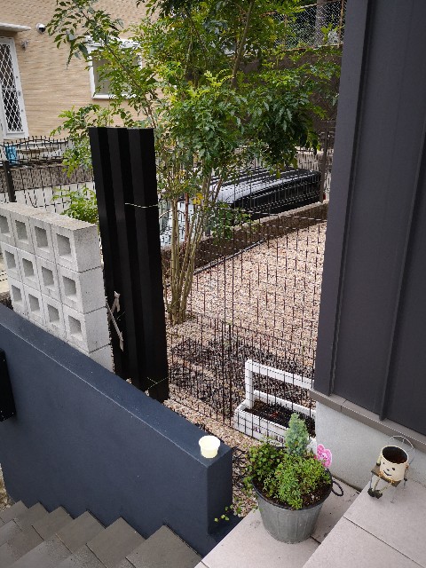 f:id:rakudietman:20191201163640j:image f:id:rakudietman:20191201163640j:image