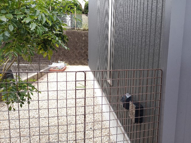 f:id:rakudietman:20191201163715j:image f:id:rakudietman:20191201163715j:image