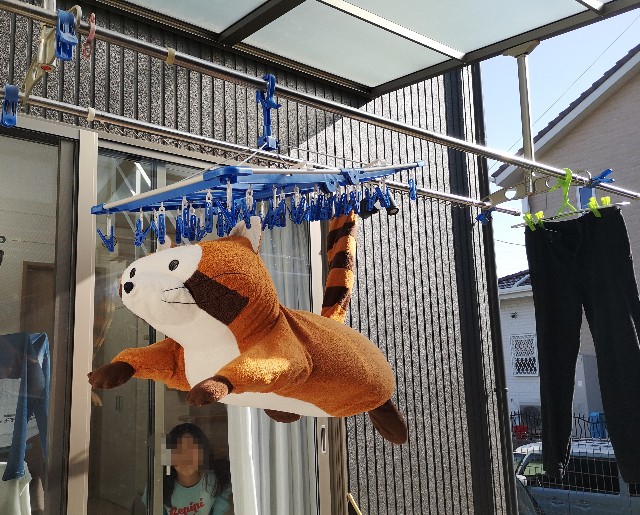 f:id:rakudietman:20200323225417j:image f:id:rakudietman:20200323225417j:image