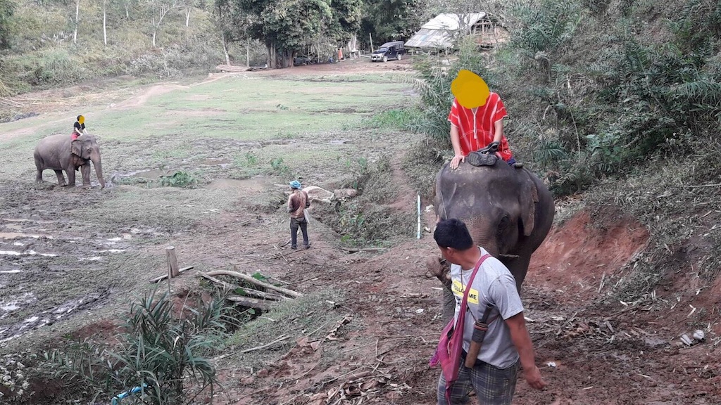 f:id:rakugak1:20200308121528j:image