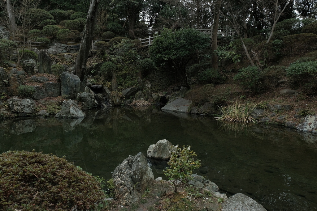 f:id:rakugou:20190203151128j:plain f:id:rakugou:20190203151128j:plain