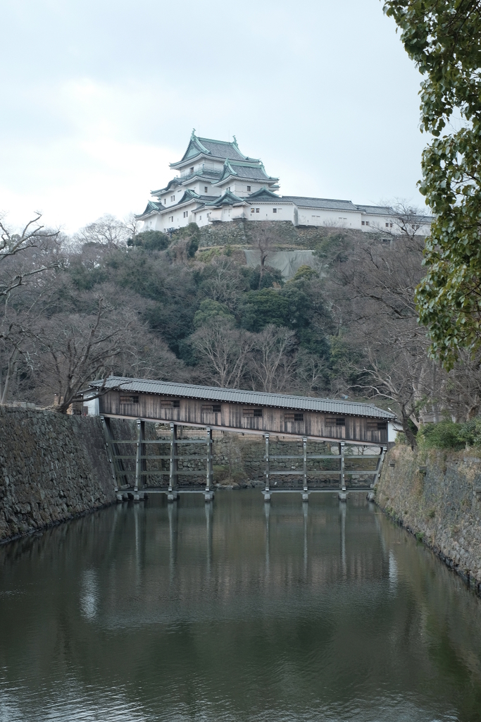 f:id:rakugou:20190203161309j:plain f:id:rakugou:20190203161309j:plain