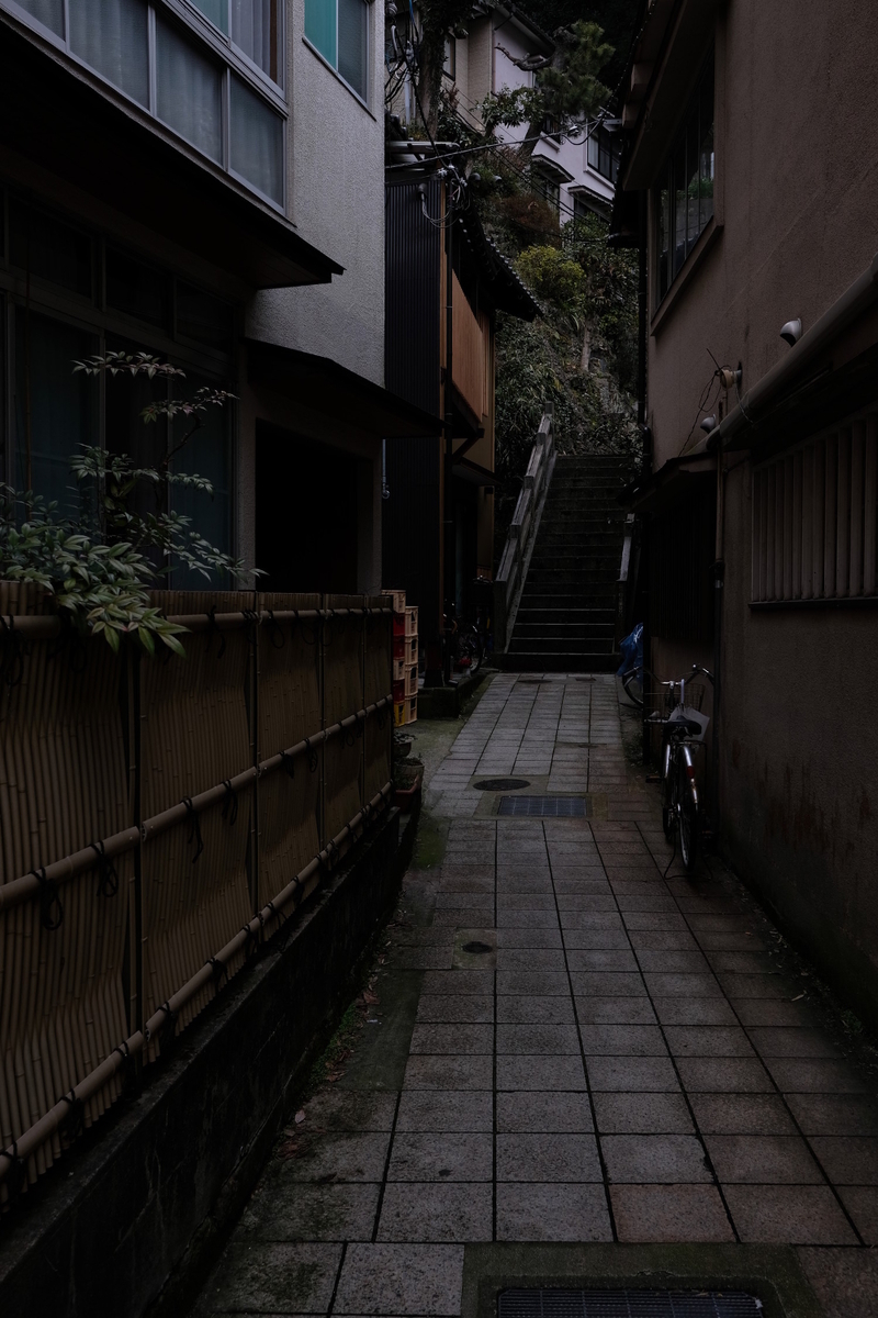 f:id:rakugou:20190320234353j:plain f:id:rakugou:20190320234353j:plain
