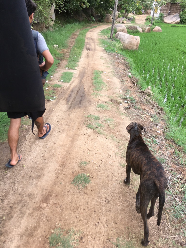 f:id:rakuiki:20190726180456j:image f:id:rakuiki:20190726180456j:image