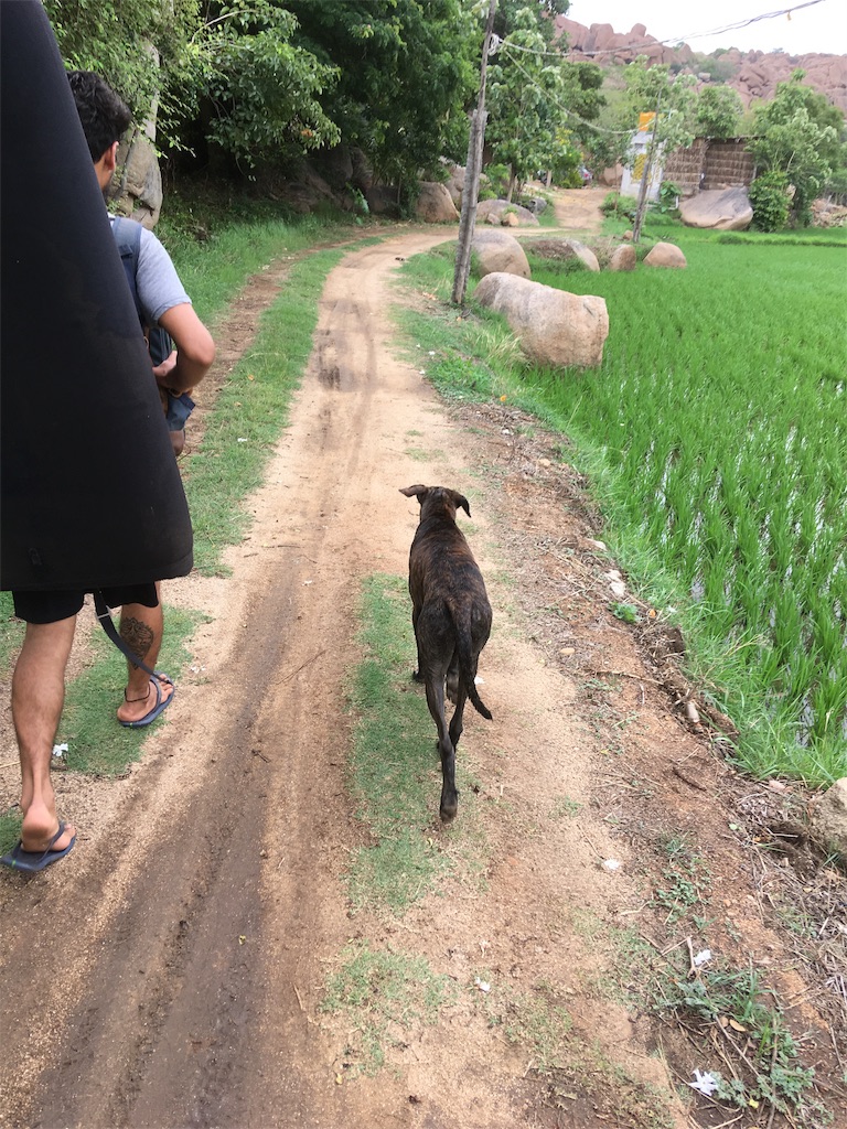 f:id:rakuiki:20190726180624j:image f:id:rakuiki:20190726180624j:image