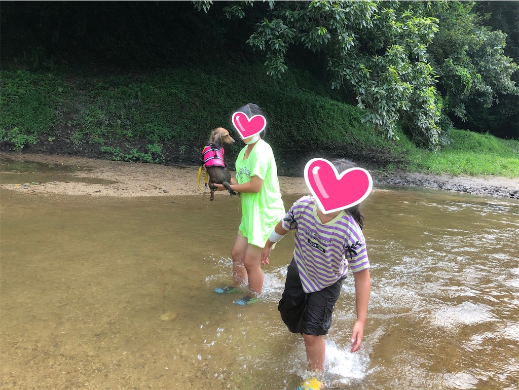 愛知県内で川遊び ムシャクシャしてやった おふざけキャンプ
