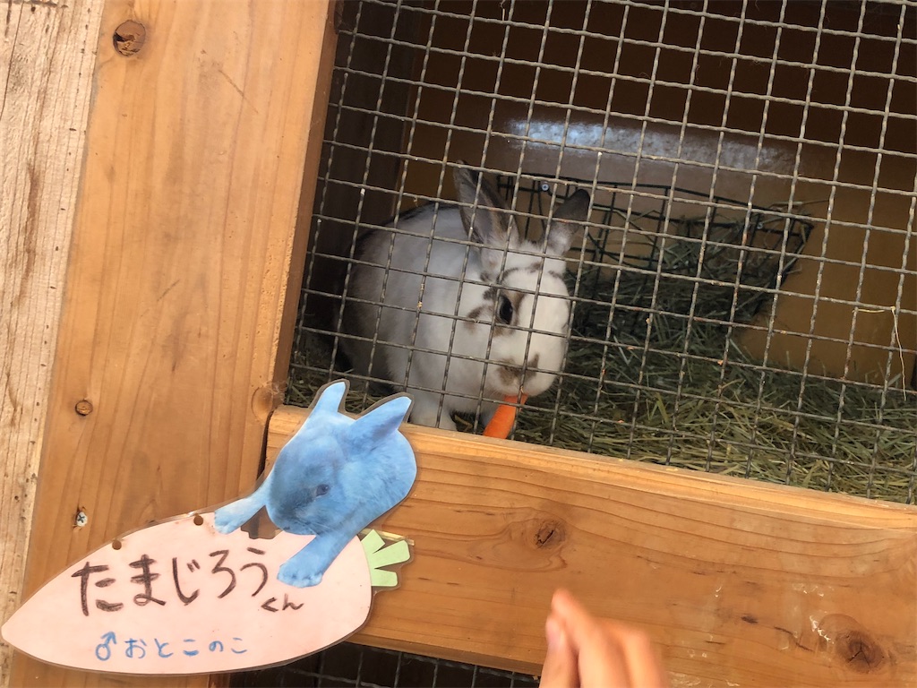 f:id:rakujirou:20220131223705j:plain:w450