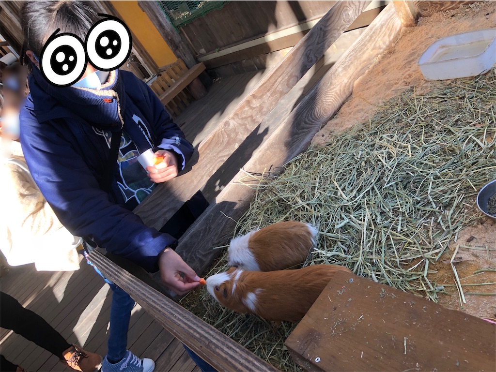 f:id:rakujirou:20220131223912j:plain:w450