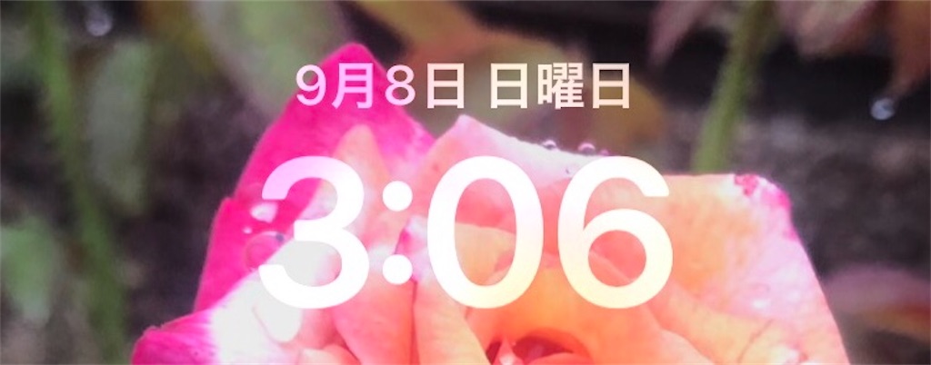 f:id:rakukara:20240908191250j:image f:id:rakukara:20240908191250j:image