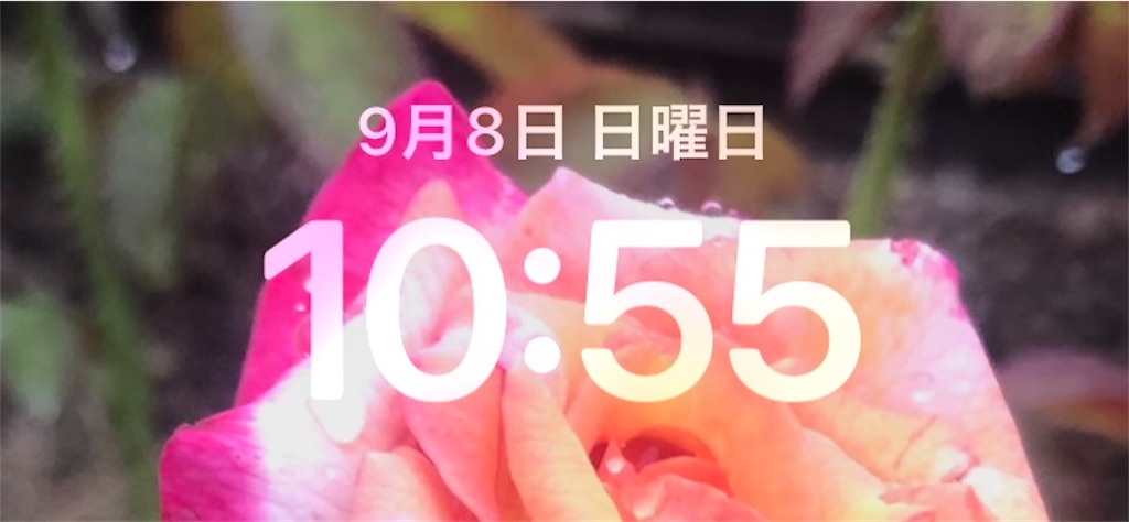f:id:rakukara:20240908191306j:image f:id:rakukara:20240908191306j:image