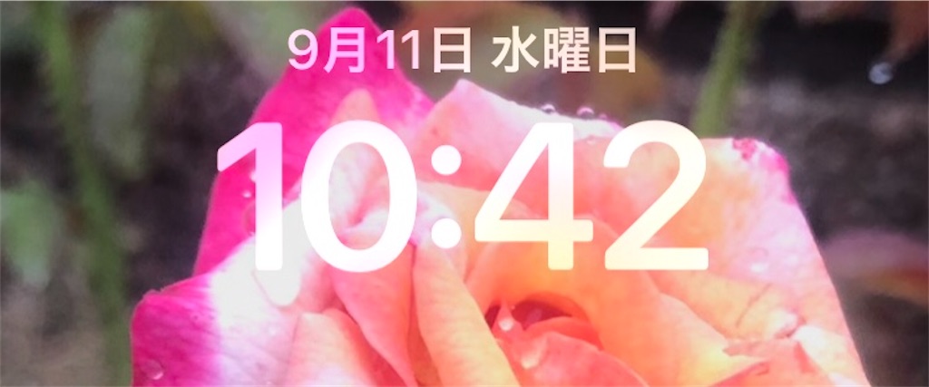 f:id:rakukara:20240911104315j:image f:id:rakukara:20240911104315j:image
