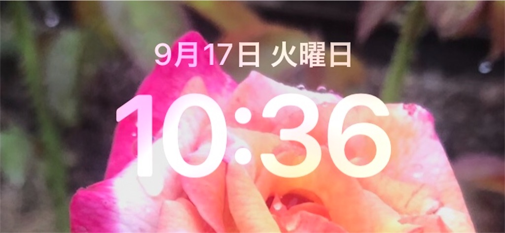 f:id:rakukara:20240917153127j:image f:id:rakukara:20240917153127j:image
