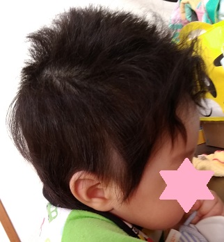 f:id:rakuni_kosodate:20200517175110j:plain