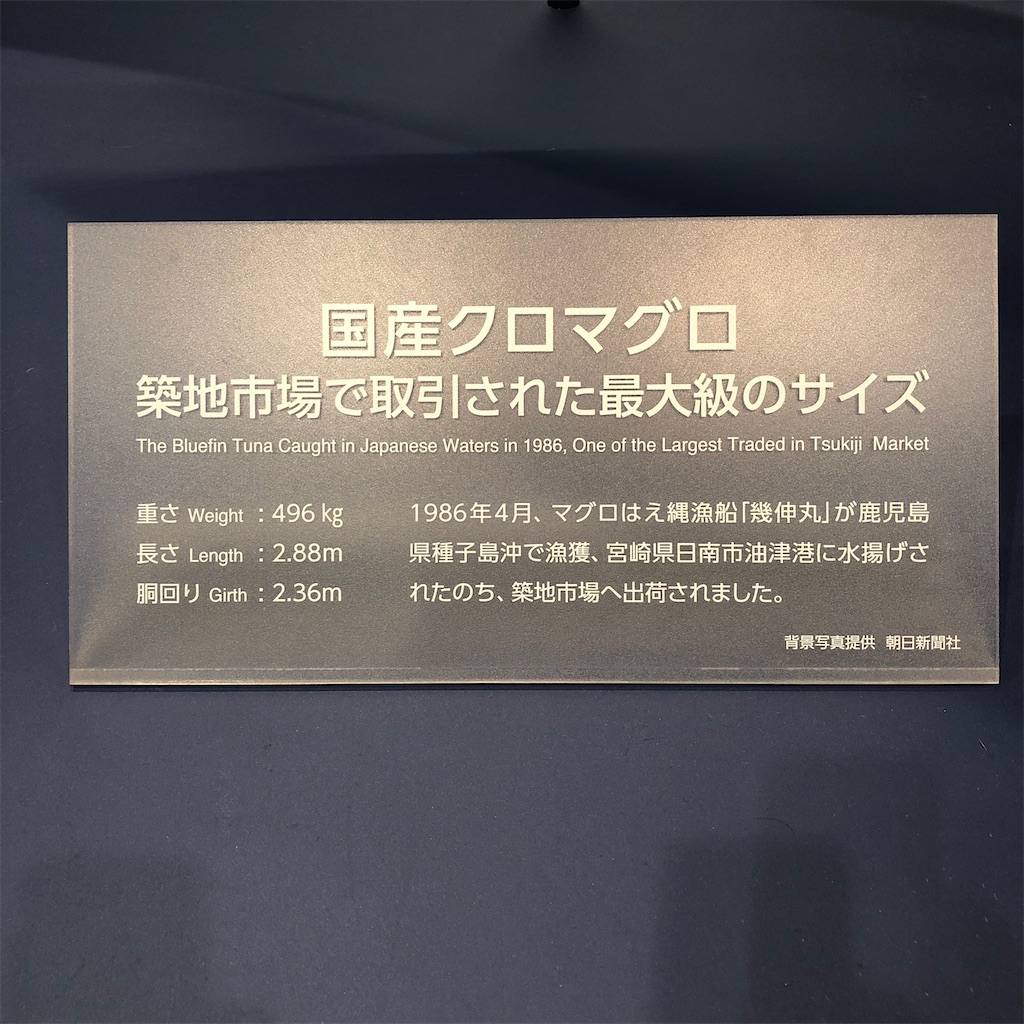 f:id:rakurakuda118:20200118215455j:image f:id:rakurakuda118:20200118215455j:image