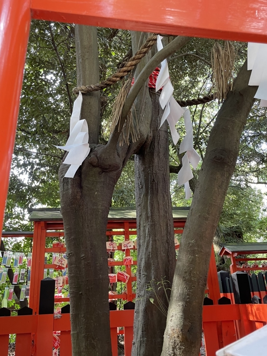 f:id:rakurakuka31111:20211103114741j:plain