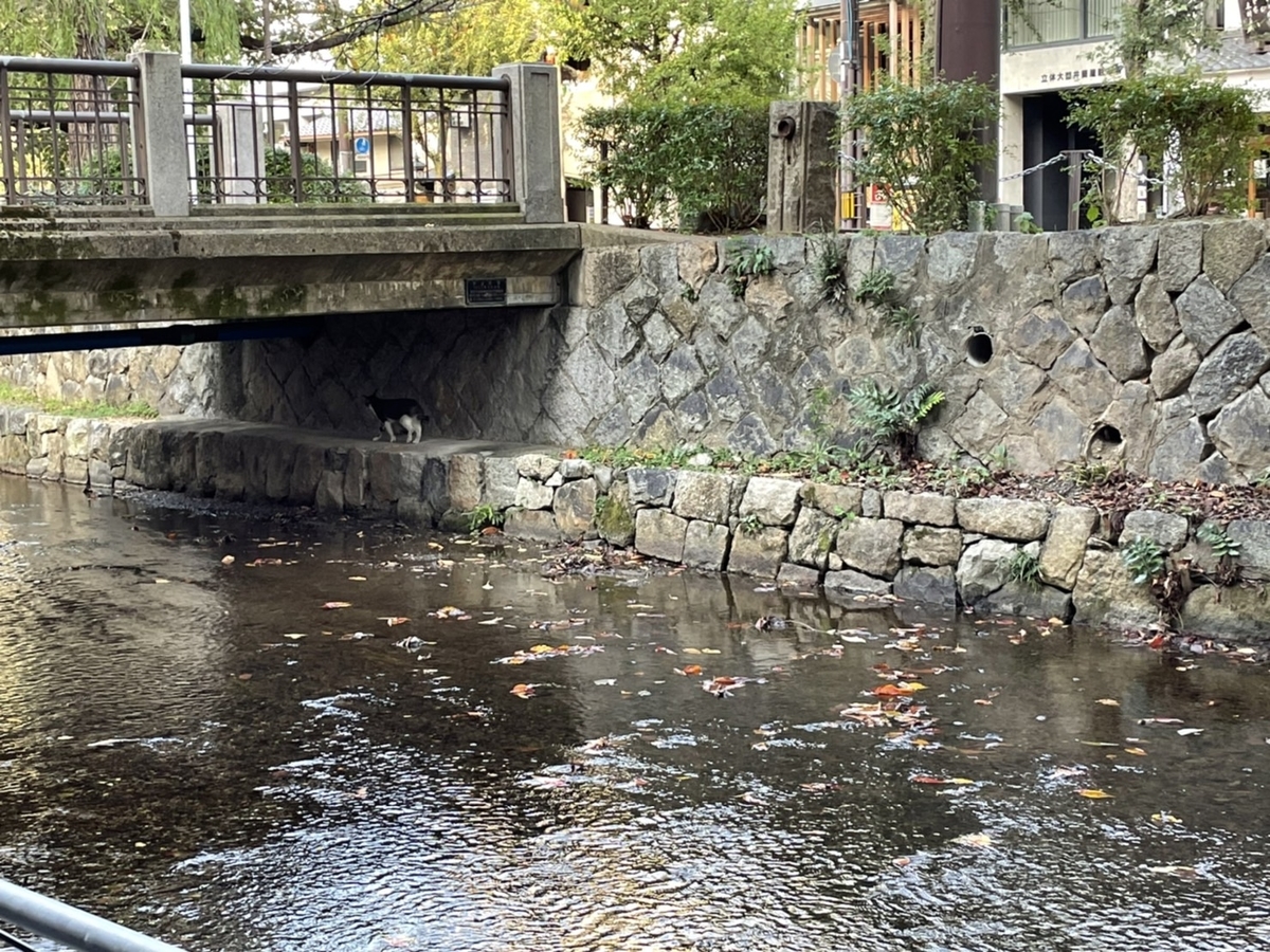 f:id:rakurakuka31111:20211103114829j:plain