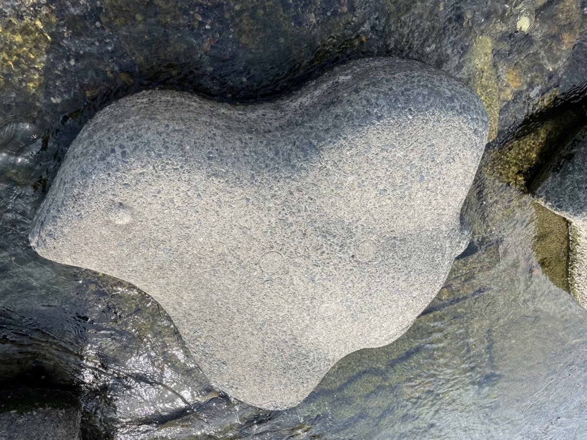 f:id:rakurakuka31111:20211104170101j:plain