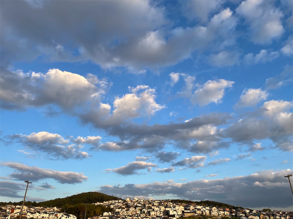 f:id:rakurakuka31111:20211105184406j:image