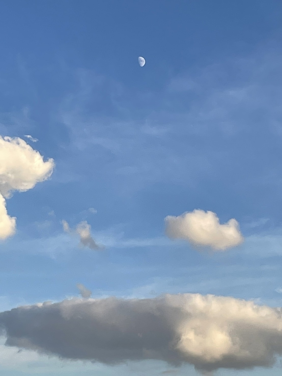 f:id:rakurakuka31111:20211114095703j:plain