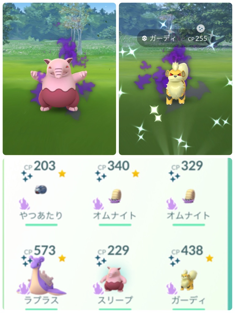 楽笑家のゆる いポケモンgoブログ 楽笑家のゆる いポケモンgoブログ