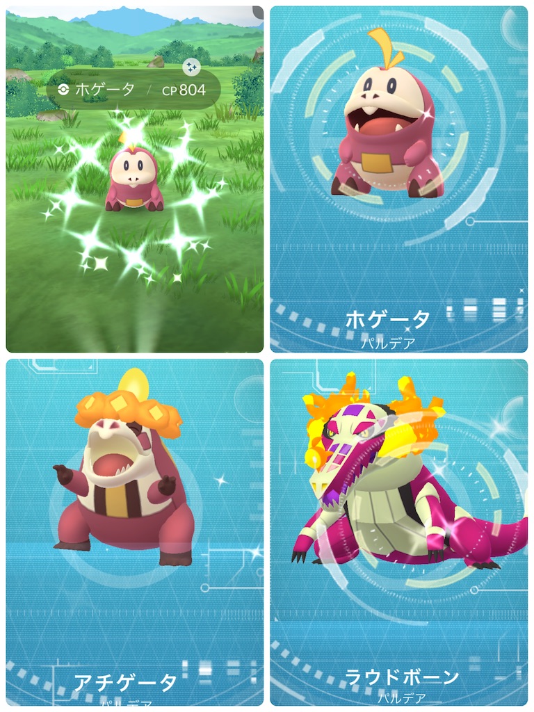 f:id:rakusyouke:20250308222706j:image