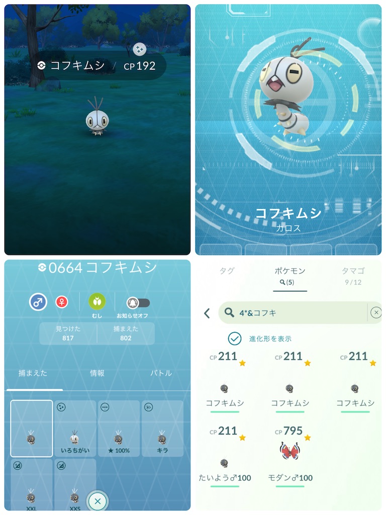 f:id:rakusyouke:20250629182818j:image
