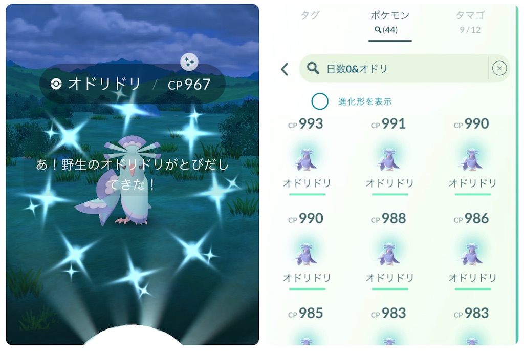 f:id:rakusyouke:20260208203919j:image