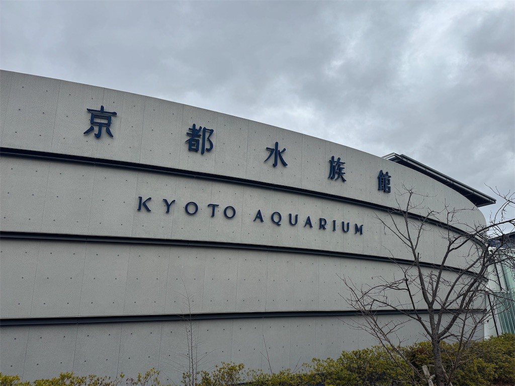 f:id:rakusyouke:20260301192310j:image f:id:rakusyouke:20260301192310j:image