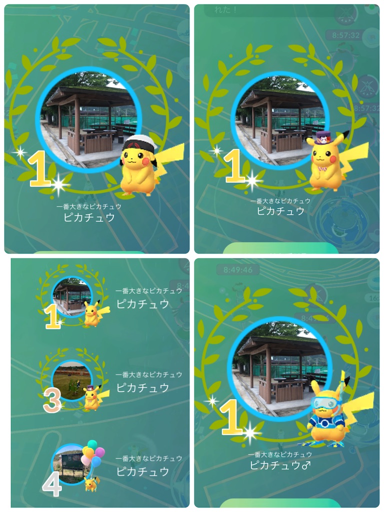f:id:rakusyouke:20260302184257j:image f:id:rakusyouke:20260302184257j:image
